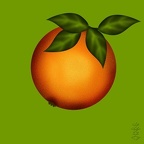 l9-orange-2