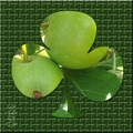 l11